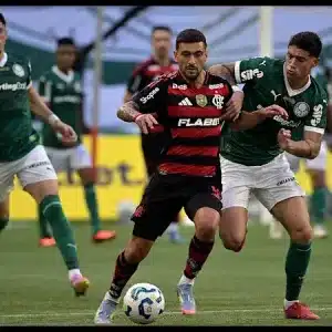 palmeiras vs flamengo google 2429 featured