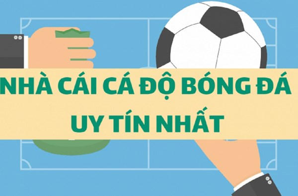 Cá độ bóng đá trang nào uy tín nhất 2022 4 Cá độ bóng đá trang nào uy tín, chất lượng